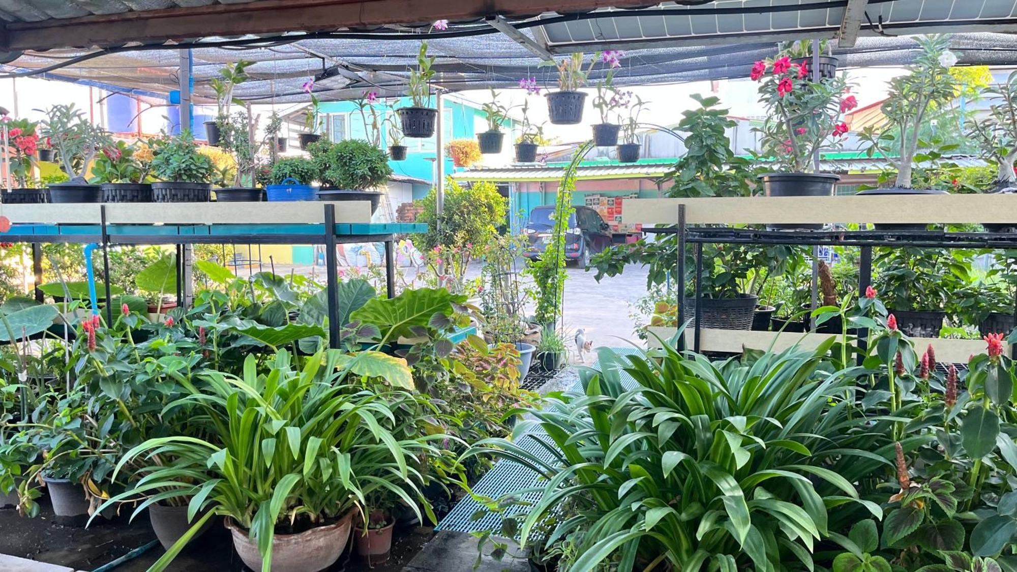 Pa Chalermchai Guesthouse Bangkok Exteriér fotografie